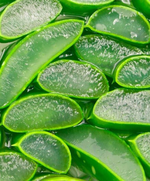 Aloe Jelly for Intestinal Immunity (15 sticks) - Image 3