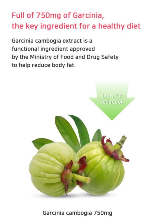Garcinia for body fat reduction (2 months) - Image 4