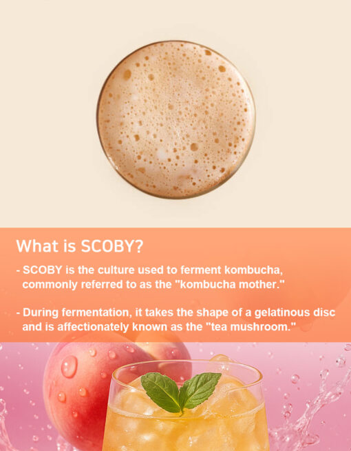 🍑Kombucha Peach (30sticks). - Image 3